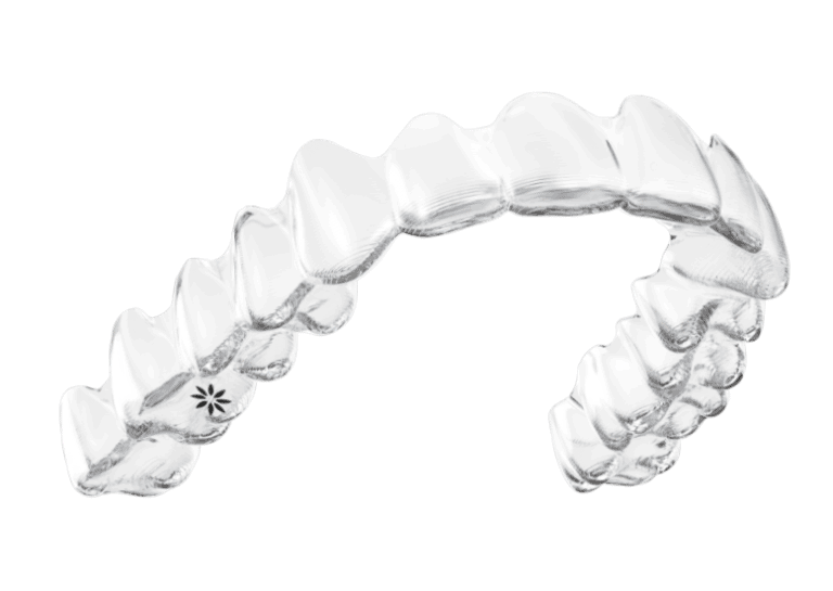 Invisalign Model