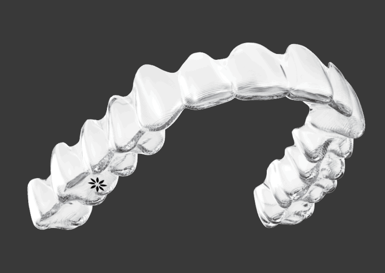 Invisalign Model